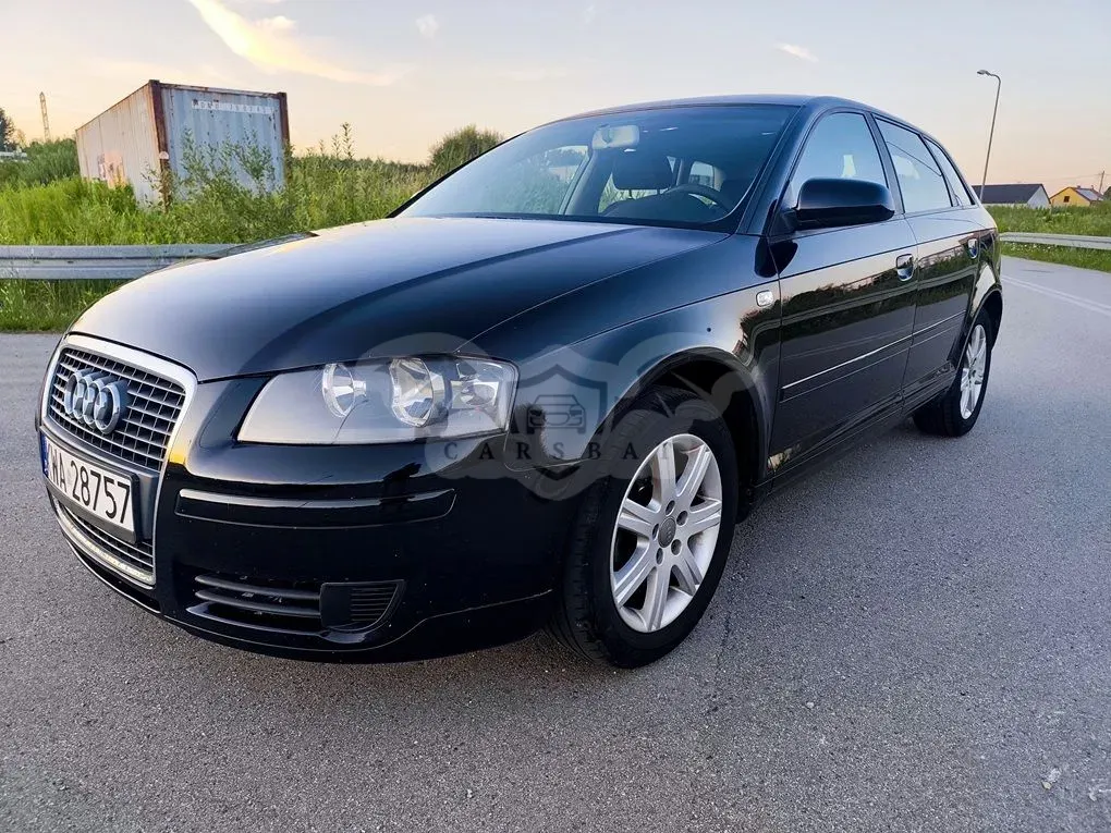 Audi A3 8P (2003-2012) 1.6 Ambition 2008