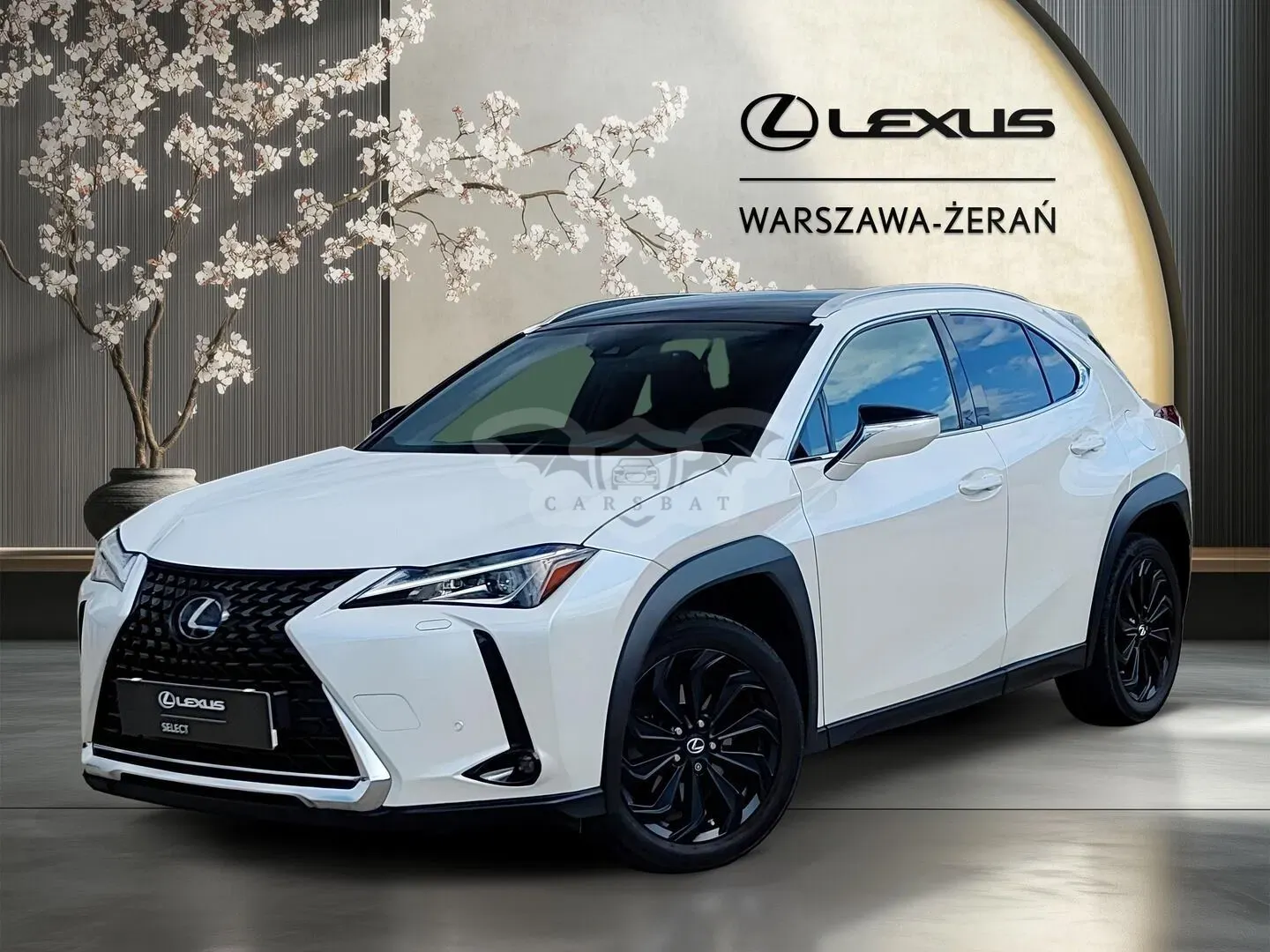 Lexus UX 200 GPF Business Edition 2WD 2022