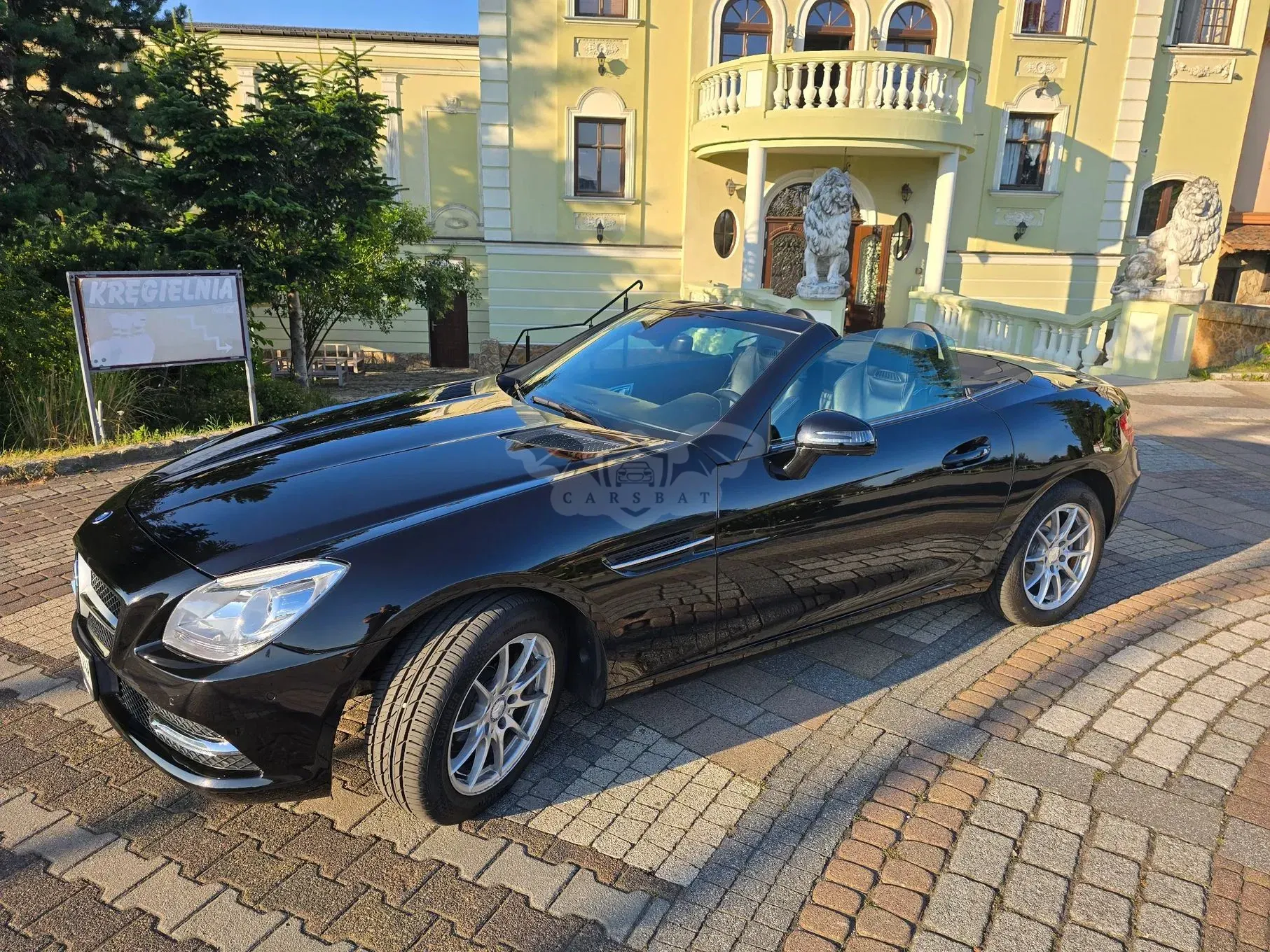 Mercedes-Benz SLK R172 (2011-) 200 CGI 2013