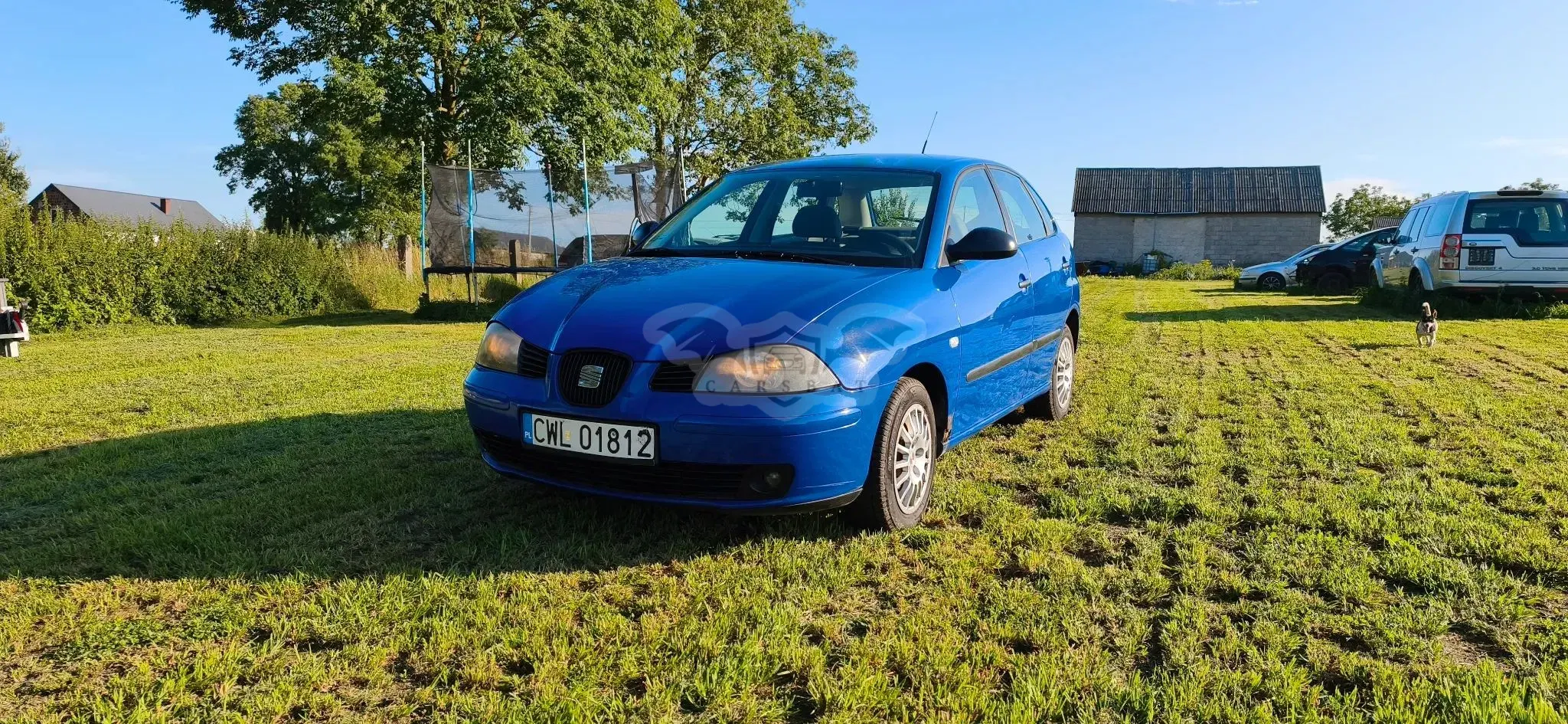 Seat Ibiza III (2002-2008) 2003