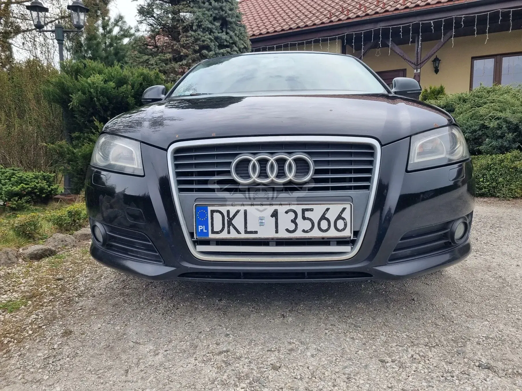 Audi A3 8P (2003-2012) 2010