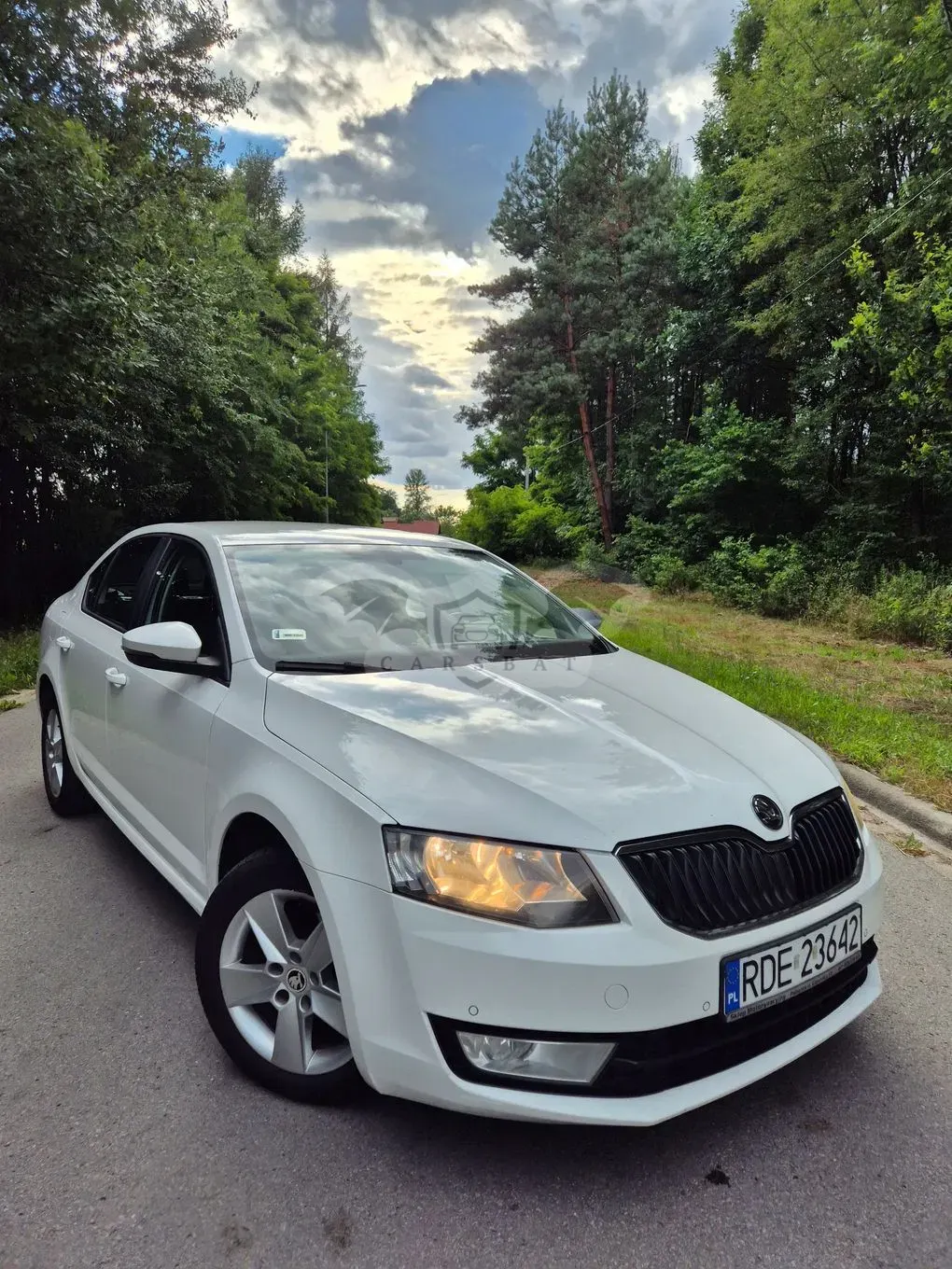 Skoda Octavia III (2013-) 2.0 TDI Ambition 2014
