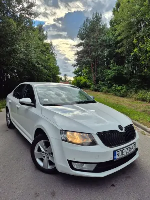 Skoda Octavia III (2013-) 2.0 TDI Ambition 2014
