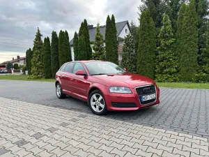Audi A3 8P (2003-2012) 1.6 Ambiente 2008