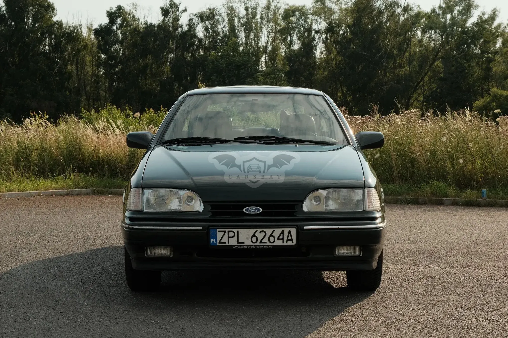 Ford Scorpio Mk1 (1985-1994) 1994