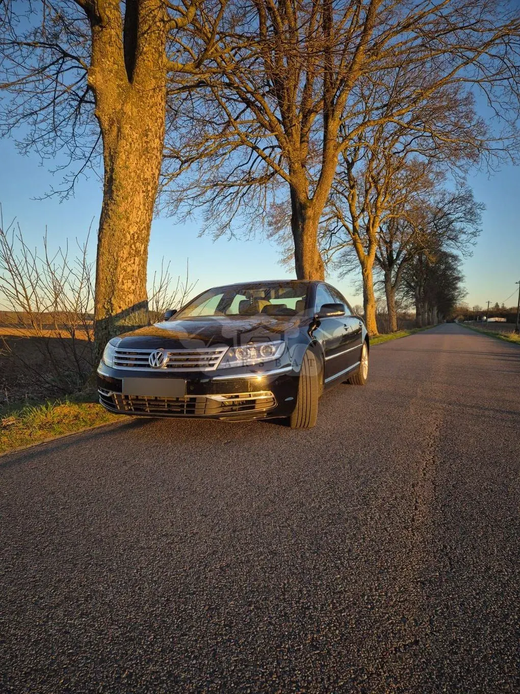 Volkswagen Phaeton 3.0 V6 TDI DPF 4MOTION langer Radstand (5 Sitzer) 2013