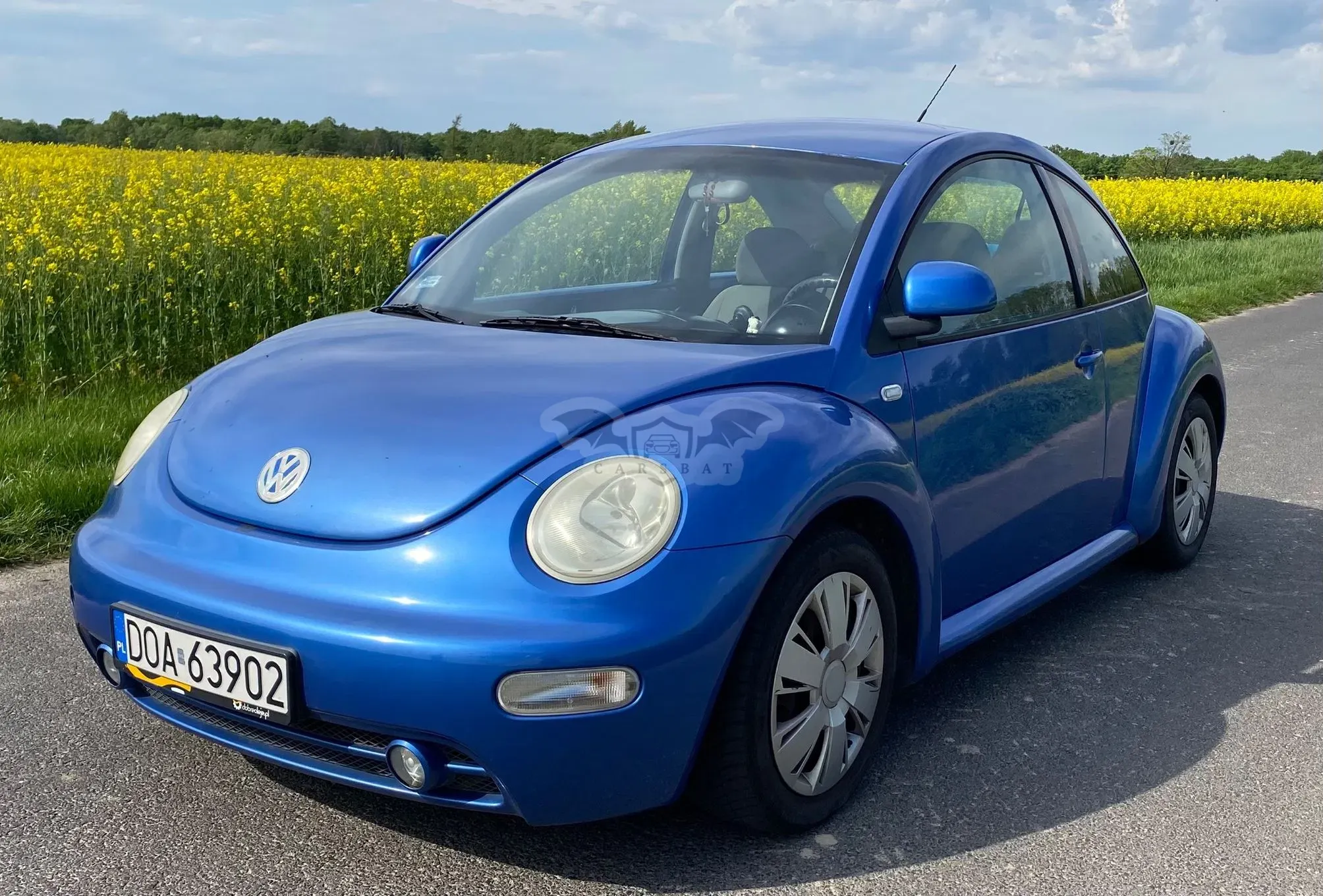 Volkswagen Beetle 2000