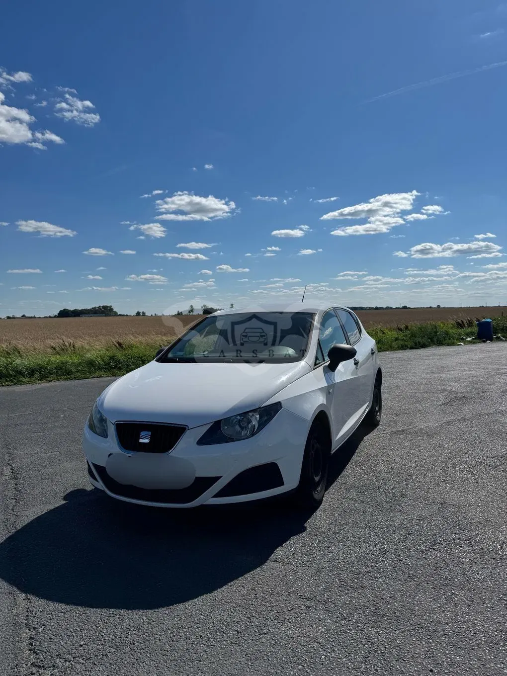 Seat Ibiza IV (2008-2017) 2011