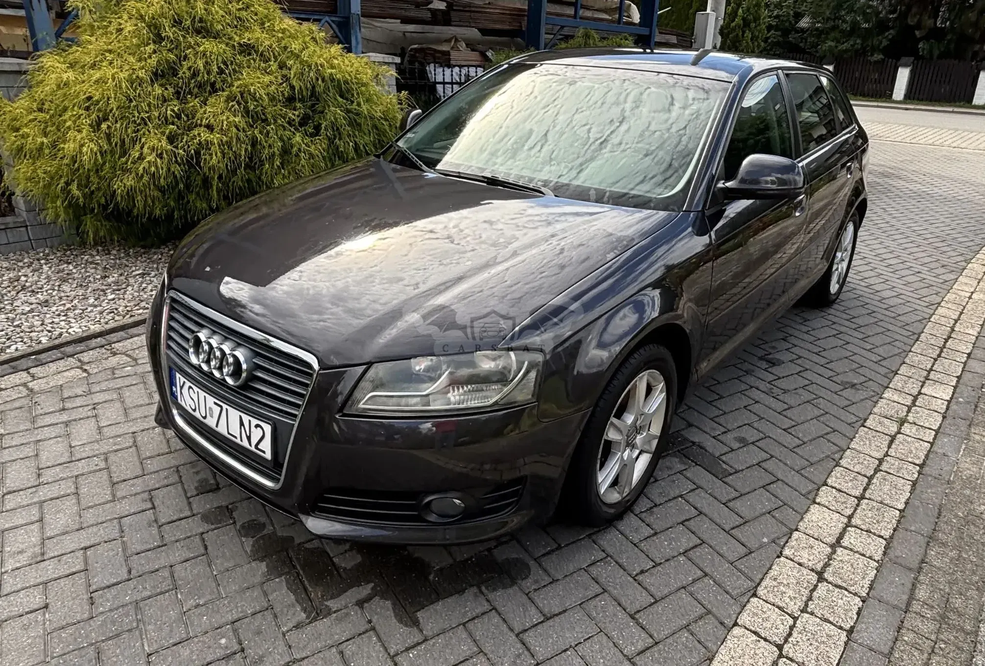 Audi A3 8P (2003-2012) 2009