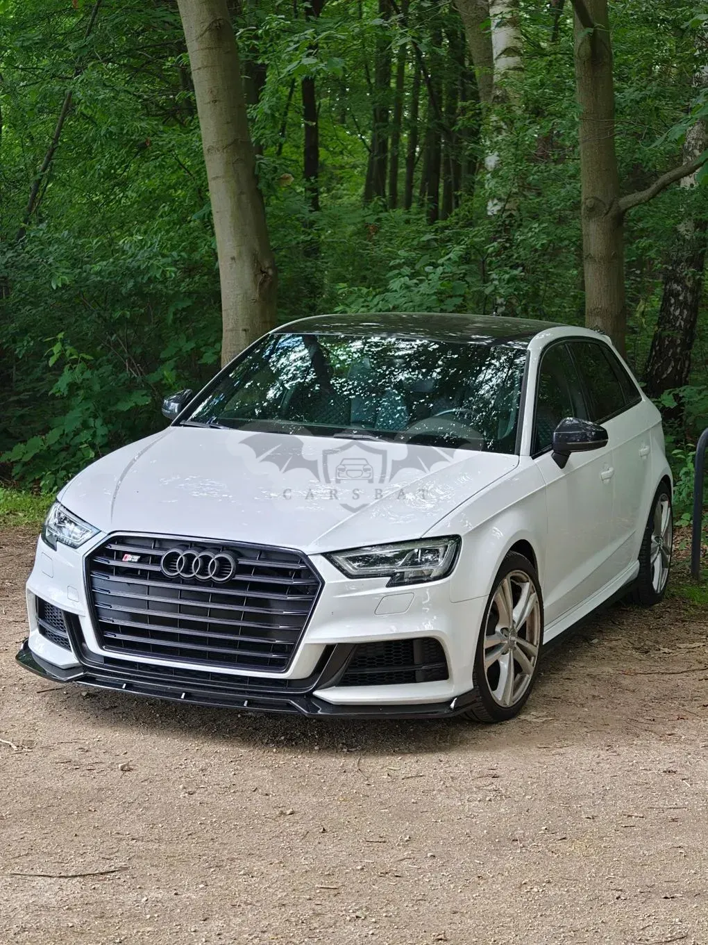Audi S3 8V (2012-2020) 2017