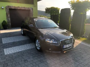 Audi A3 8P (2003-2012) 1.6 TDI DPF Ambiente 2010