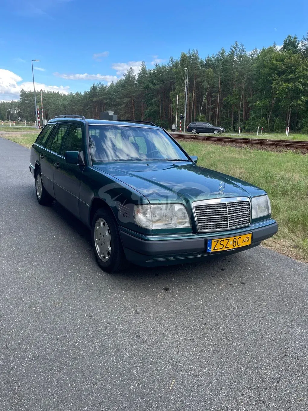 Mercedes-Benz E W124 (1993-1997) 1994