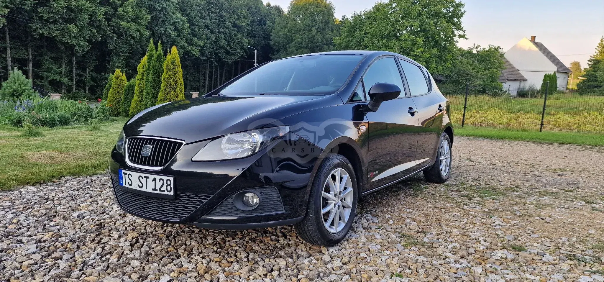 Seat Ibiza IV (2008-2017) 2011