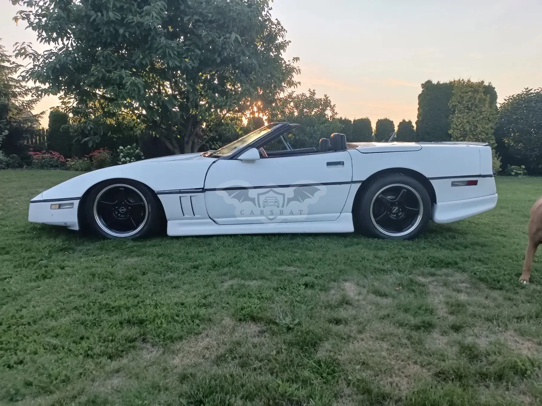 Chevrolet Corvette C4 (1983-1996) 1986