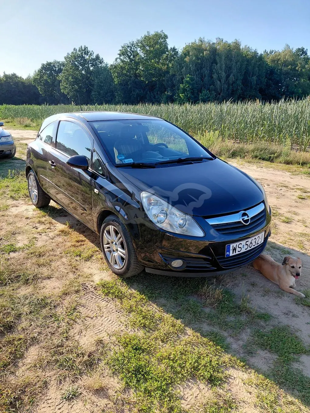Opel Corsa D (2006-2014) 2007