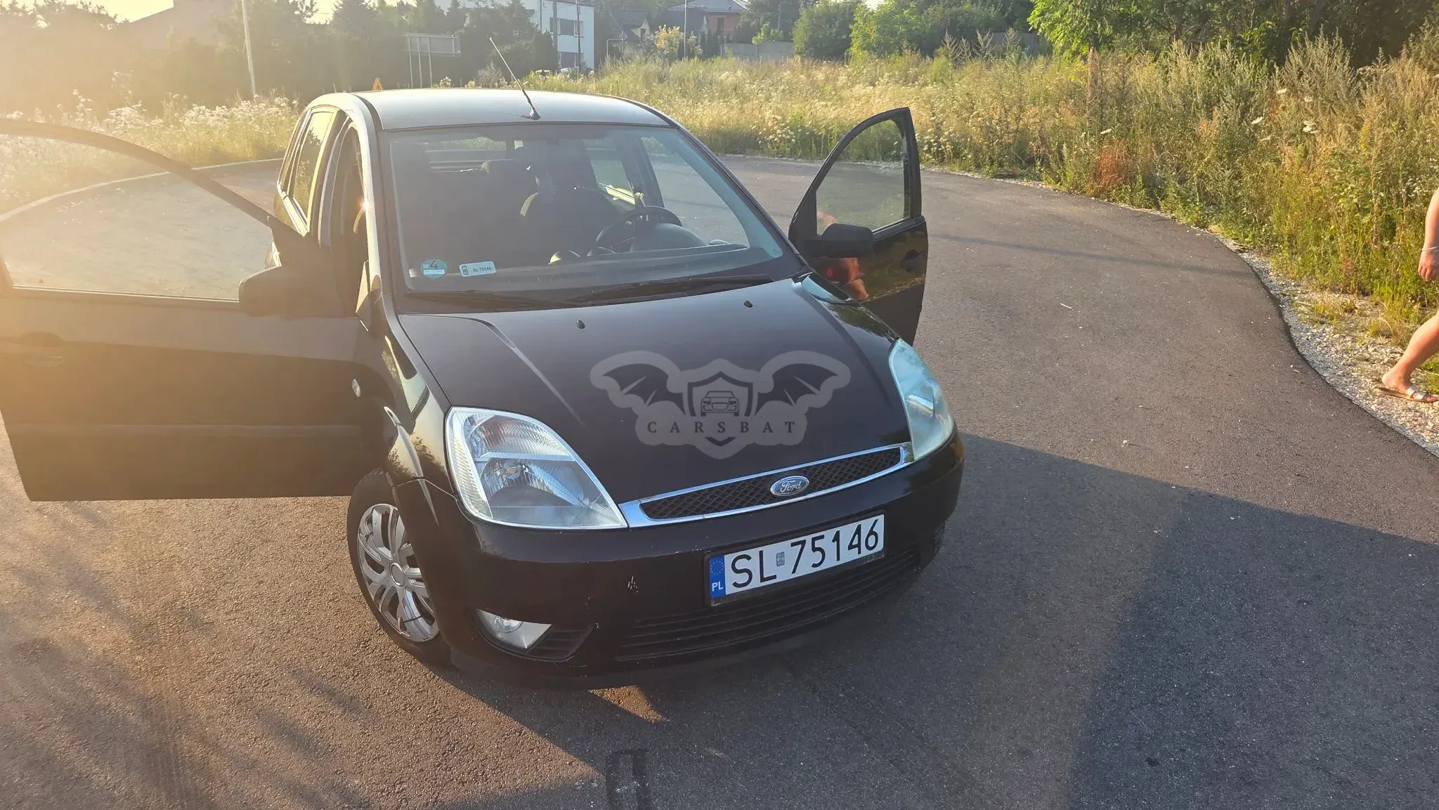 Ford Fiesta Mk5 (1999-2002) 1.4 TDCI 2004