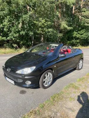 Peugeot 206 1.6 Euro4 2002