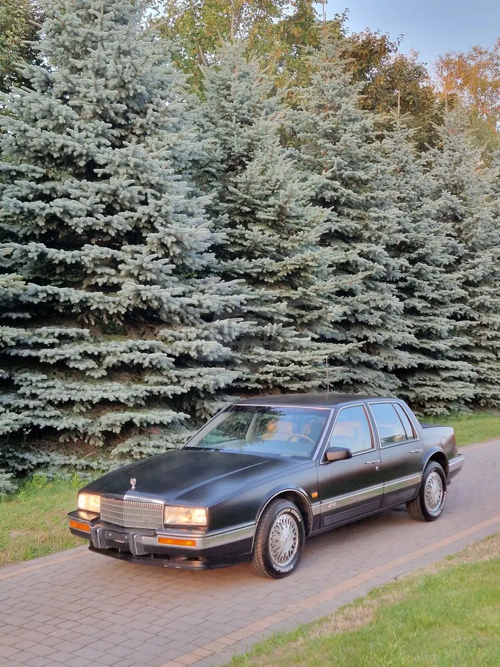 Cadillac Seville 4.9 STS 1991