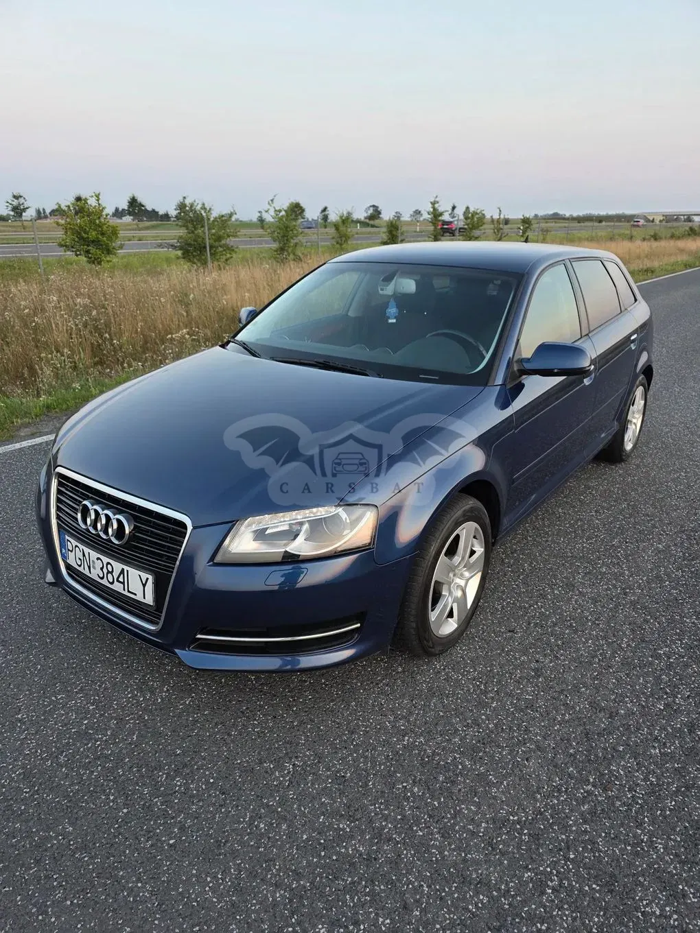 Audi A3 8P (2003-2012) 2011