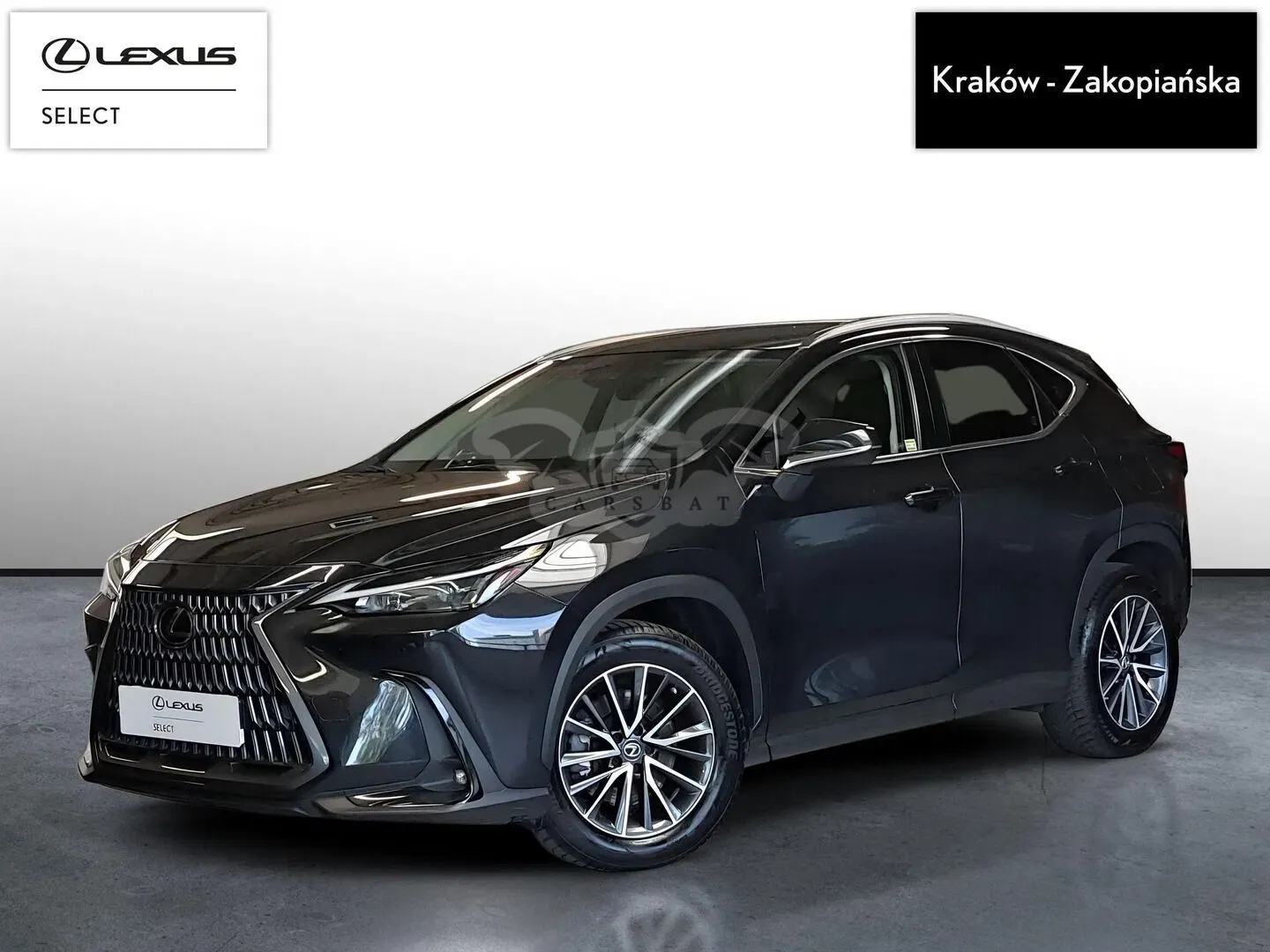 Lexus NX II (2021-) 2023