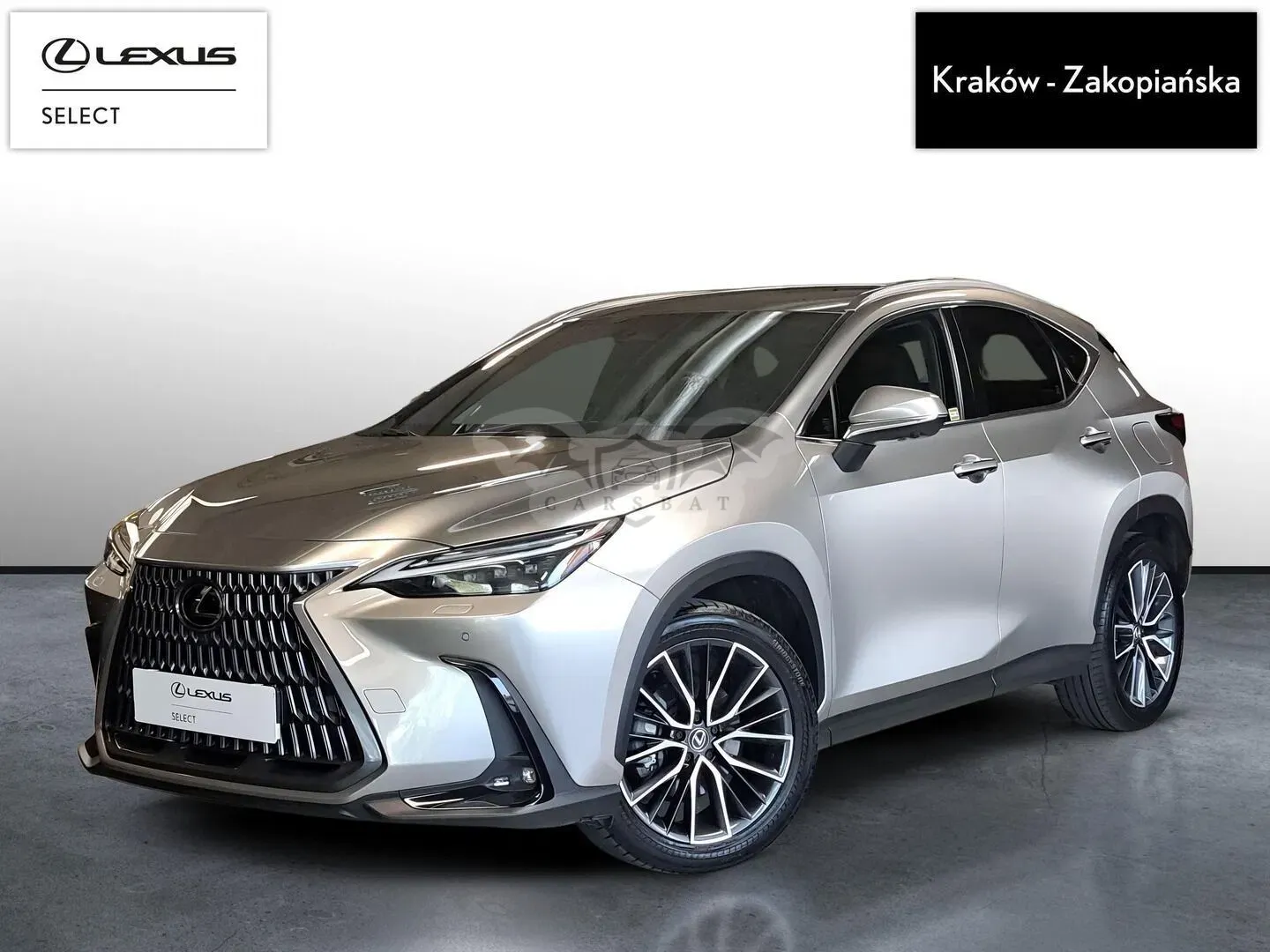 Lexus NX II (2021-) 350h Omotenashi AWD 2023