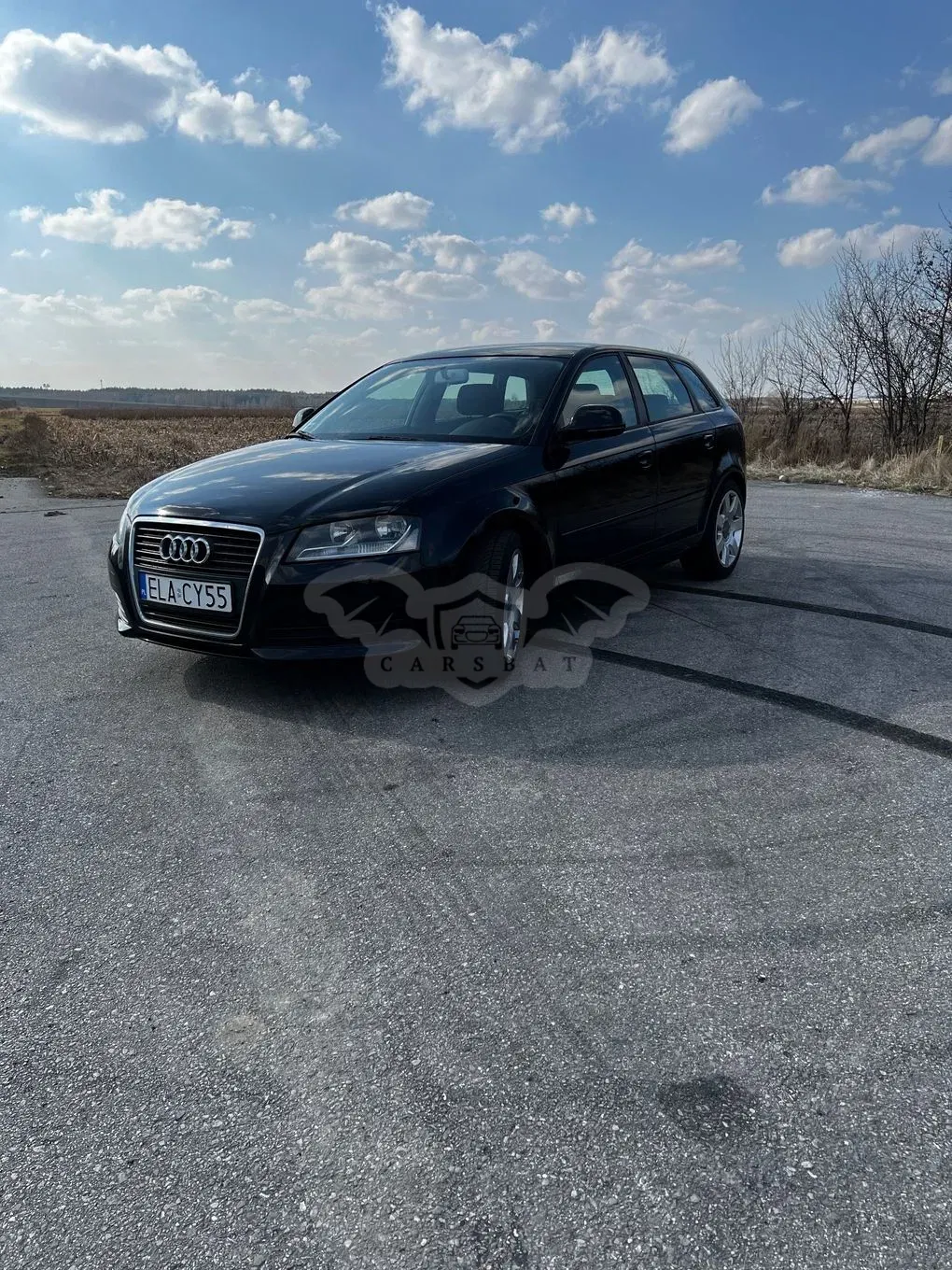 Audi A3 8P (2003-2012) 2009