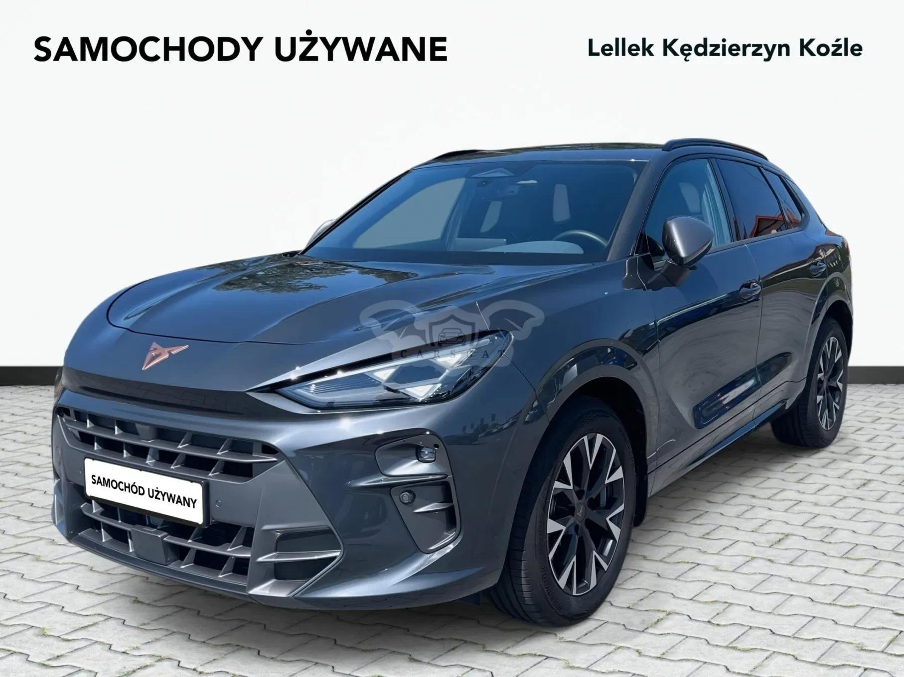 Cupra Terramar 1.5 eTSI mHEV DSG 2025