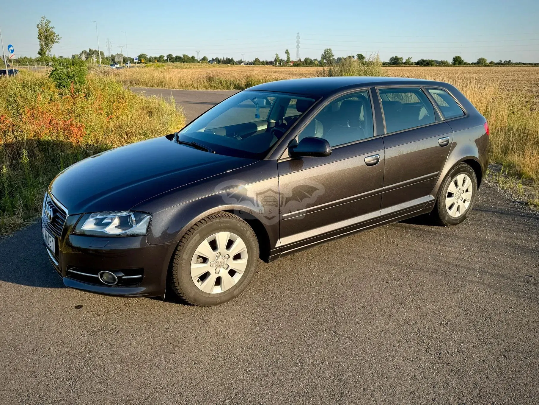 Audi A3 8P (2003-2012) 1.6 TDI DPF Attraction 2011