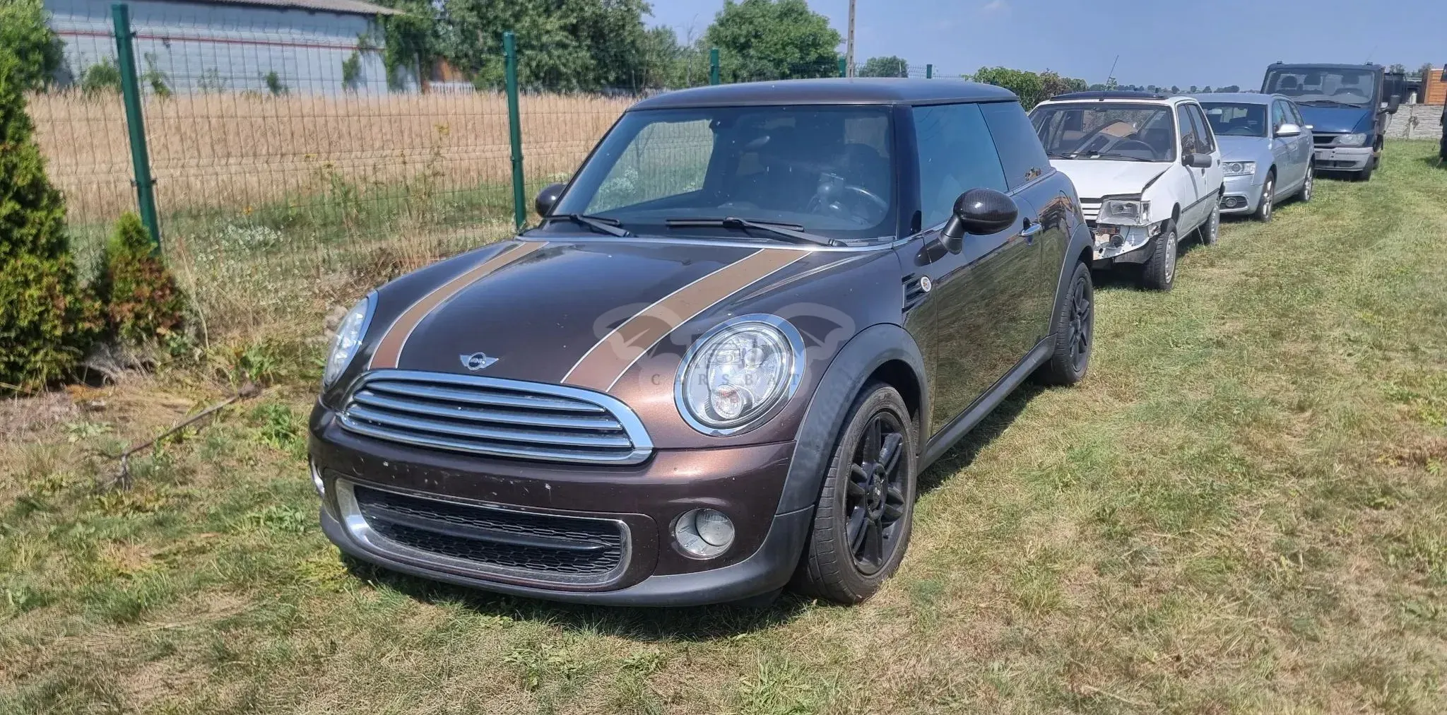 Mini One D 2012