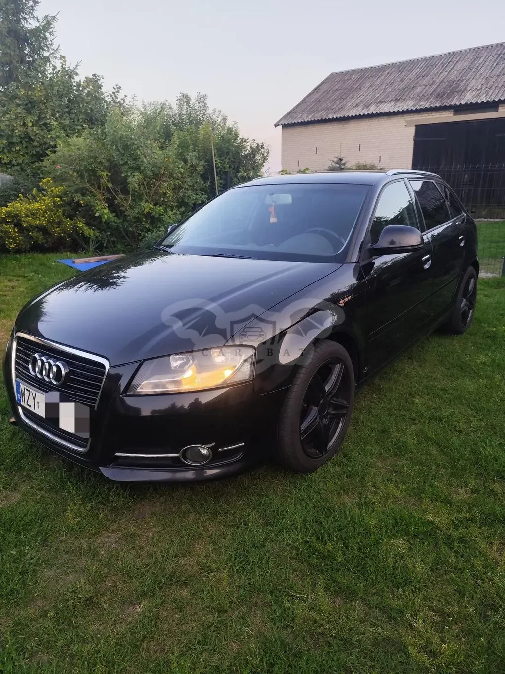 Audi A3 8P (2003-2012) 2011