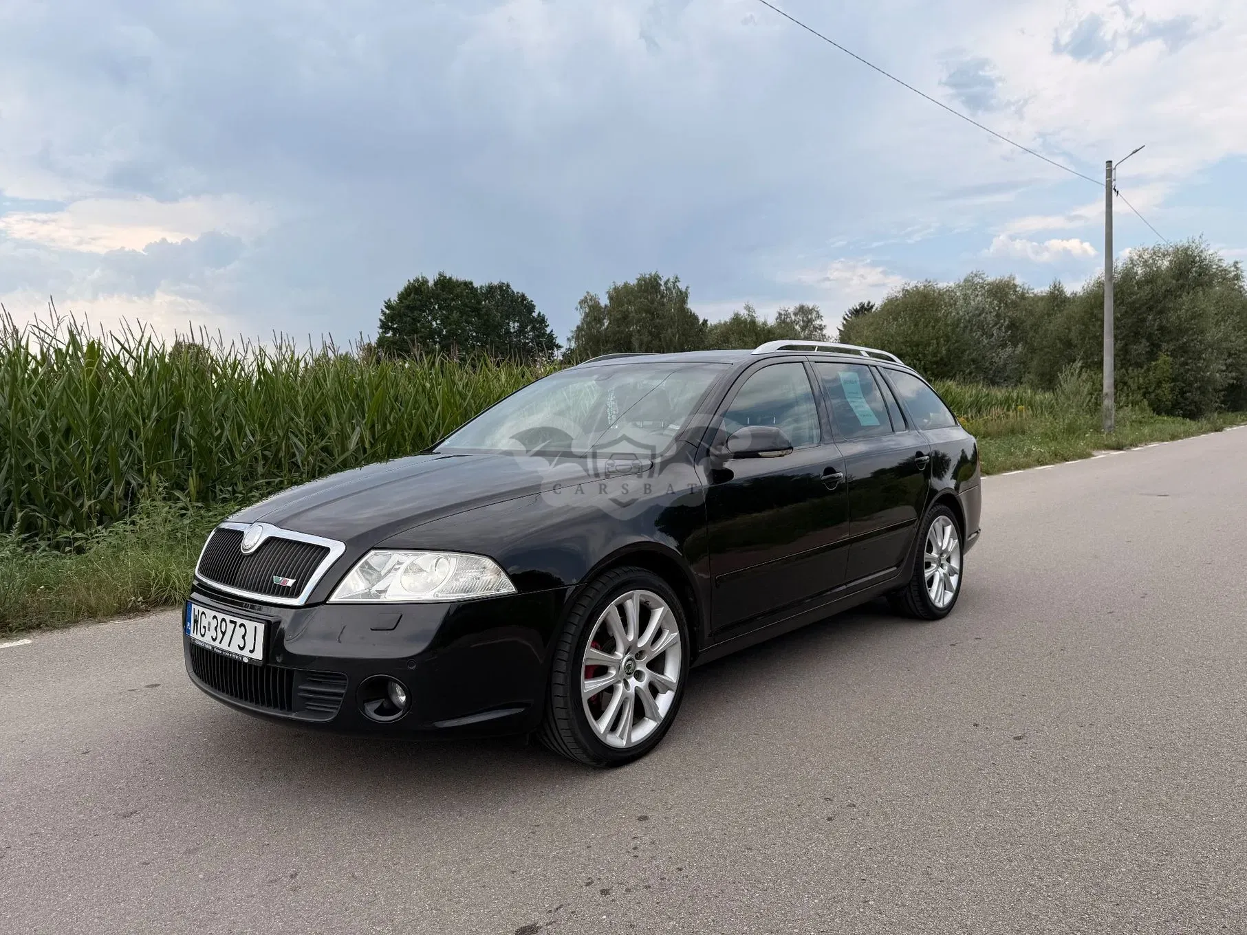 Skoda Octavia II (2004-2013) 2.0 TDI DPF RS DSG 2008