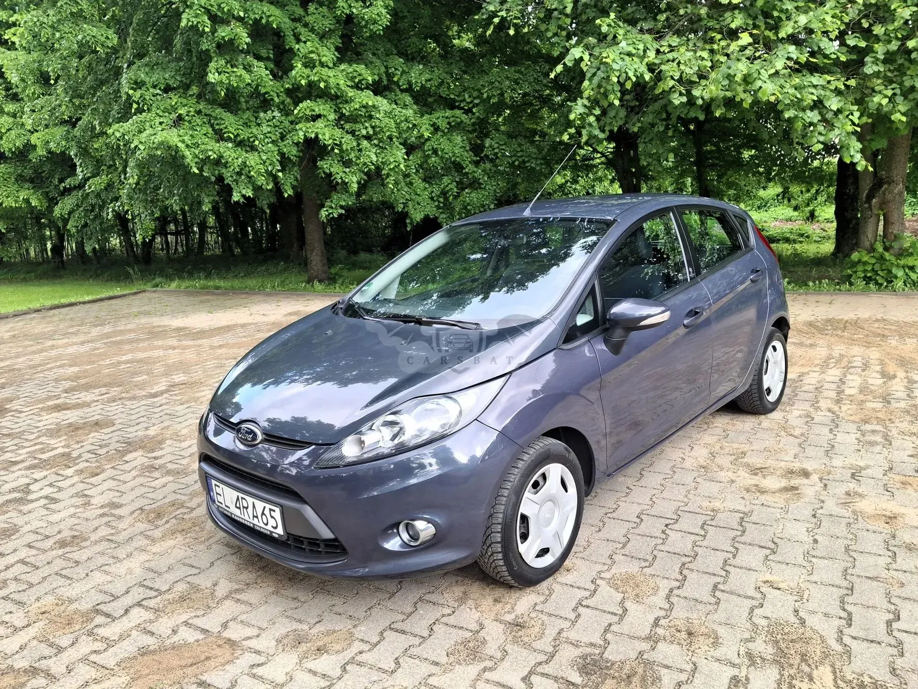 Ford Fiesta Mk7 (2008-) 1.25 Champions Edition 2012