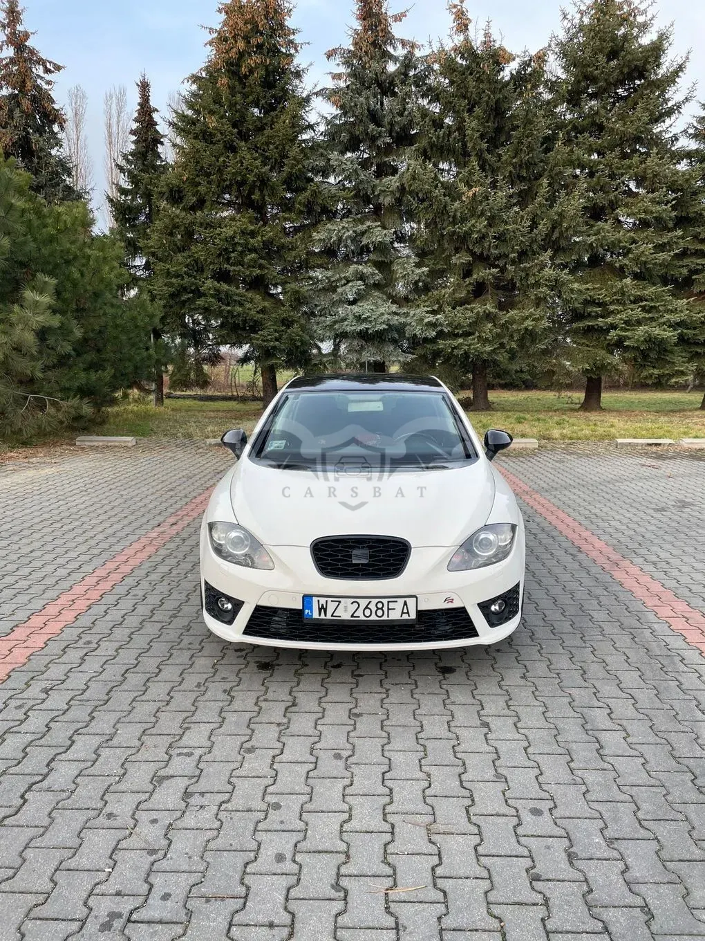 Seat Leon II (2005-2012) 2.0 TDI FR 2010