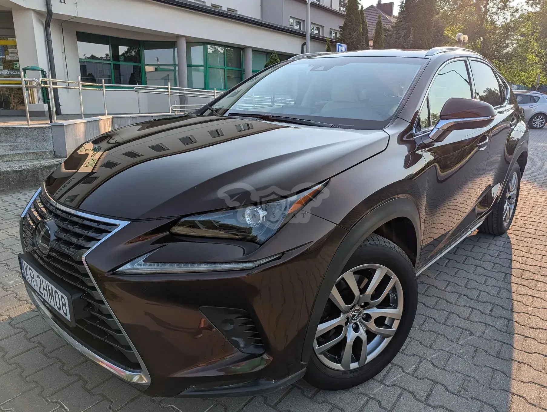 Lexus NX I (2014-2021) 300 Comfort AWD 2017
