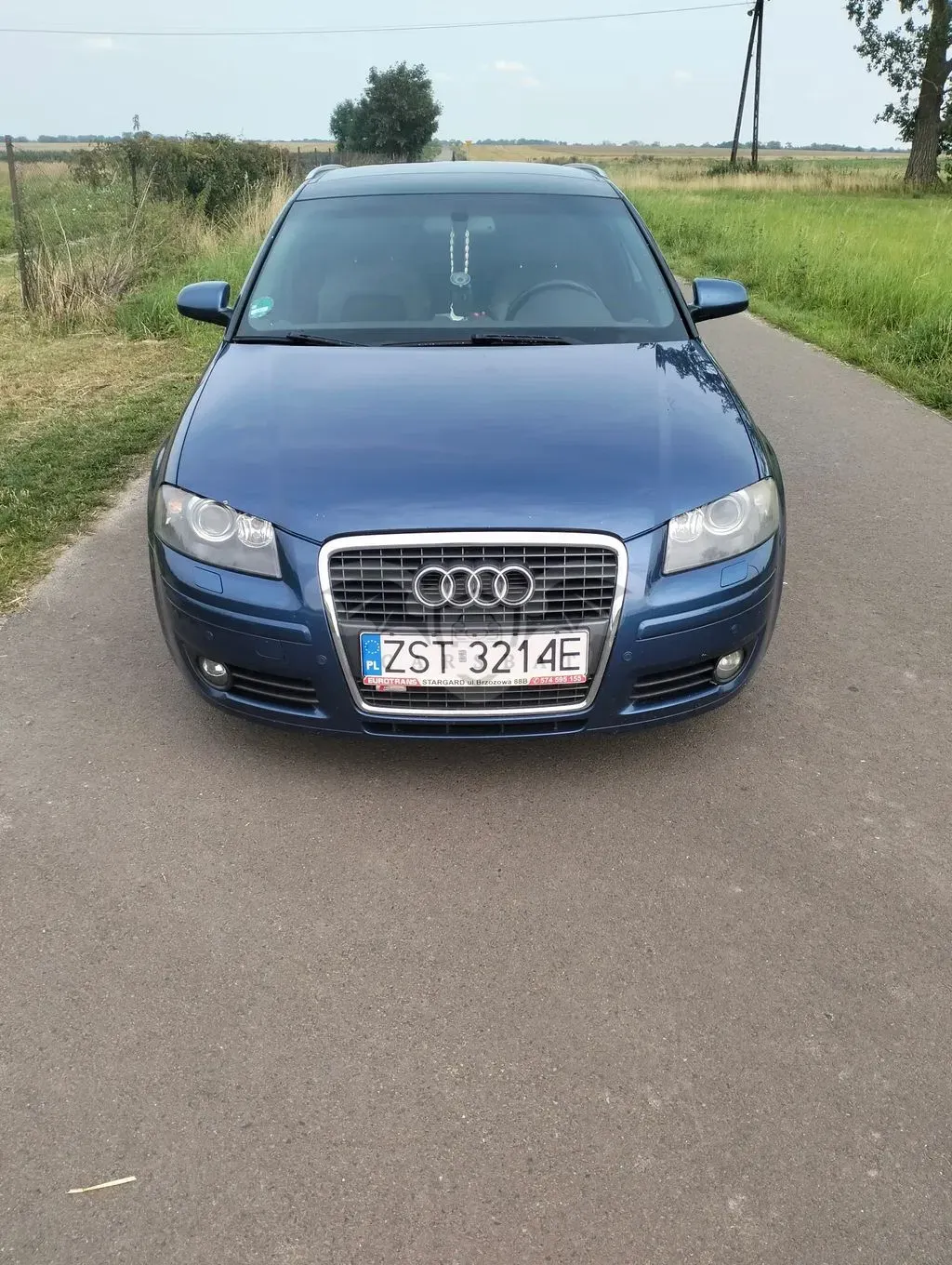 Audi A3 8P (2003-2012) 2007