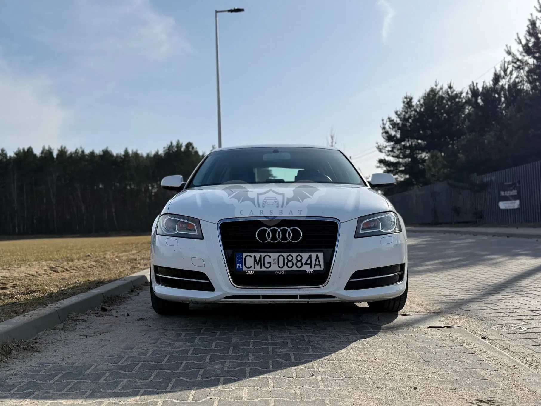 Audi A3 8P (2003-2012) 1.8 TFSI Ambiente 2011