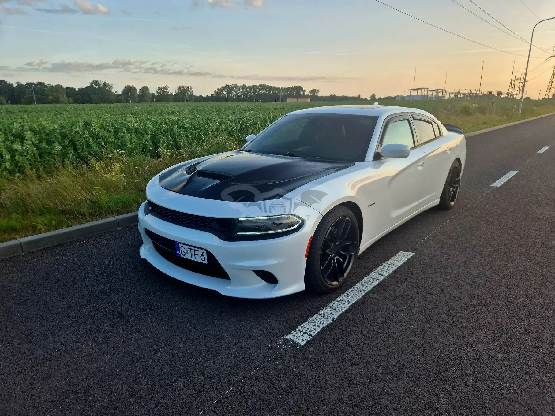Dodge Charger 5.7 V8 RT 2015