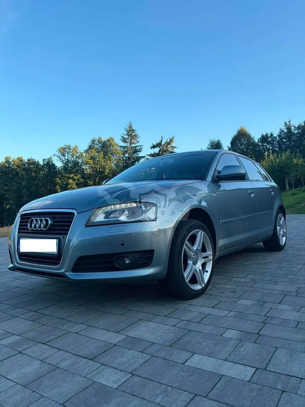 Audi A3 8P (2003-2012) 1.8 TFSI S tronic S line Sportpaket Plus 2008