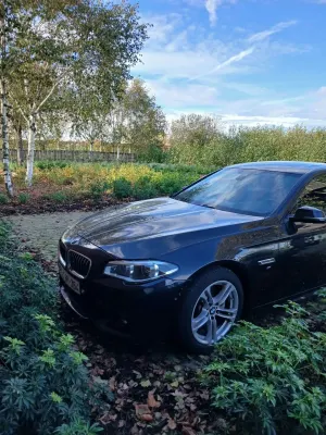 BMW 5 Series F10/F11 (2009-2017) 520d 2015