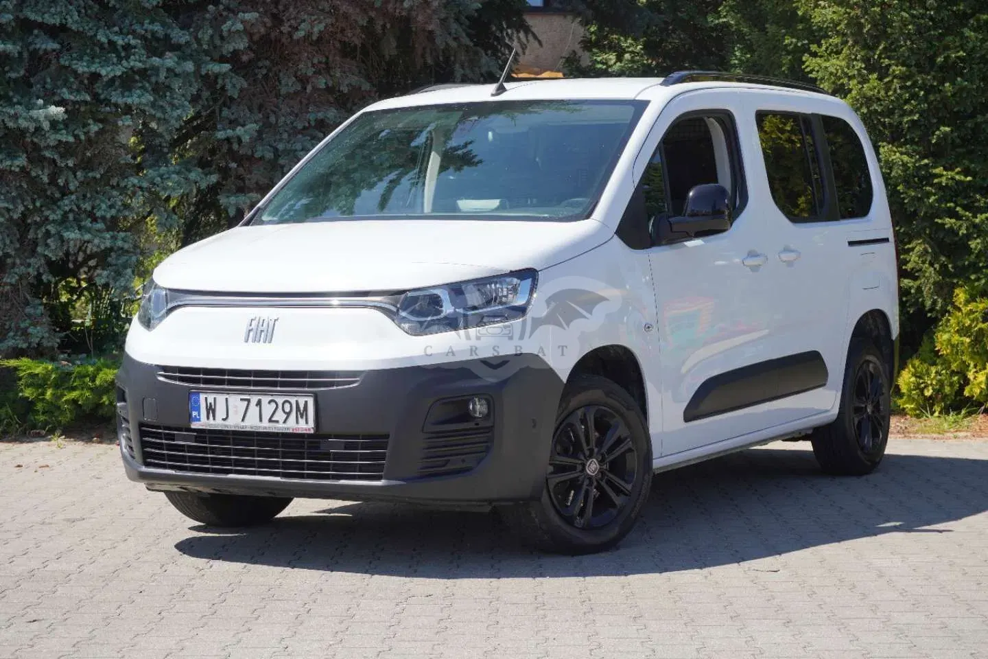 Fiat Doblo II (2009-) 2024