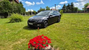 Skoda Octavia III (2013-) 2.0 TDI 4x4 Style DSG 2017