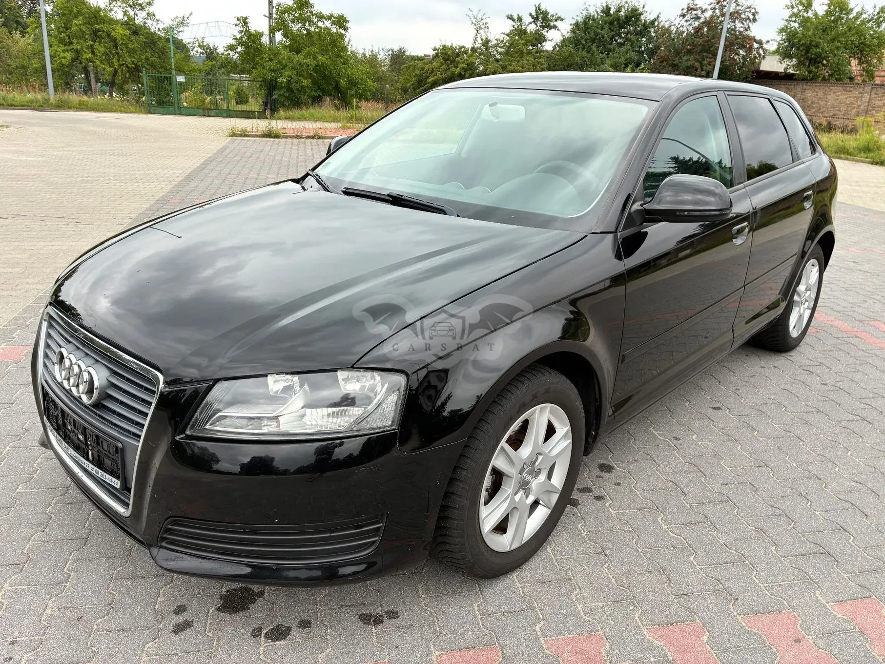 Audi A3 8P (2003-2012) 2010