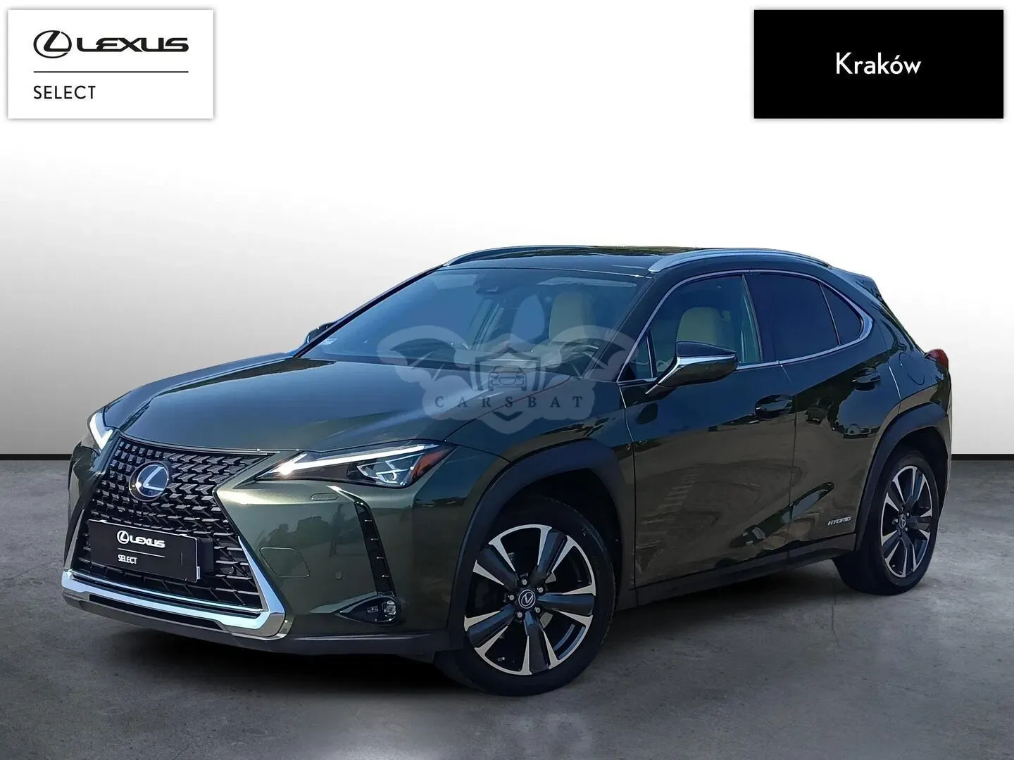 Lexus UX 2019