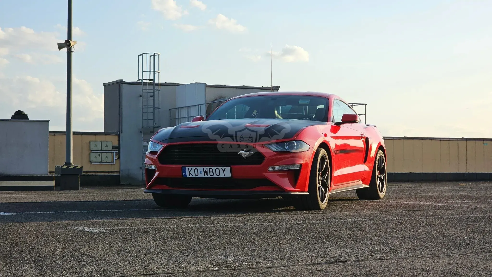 Ford Mustang 2019