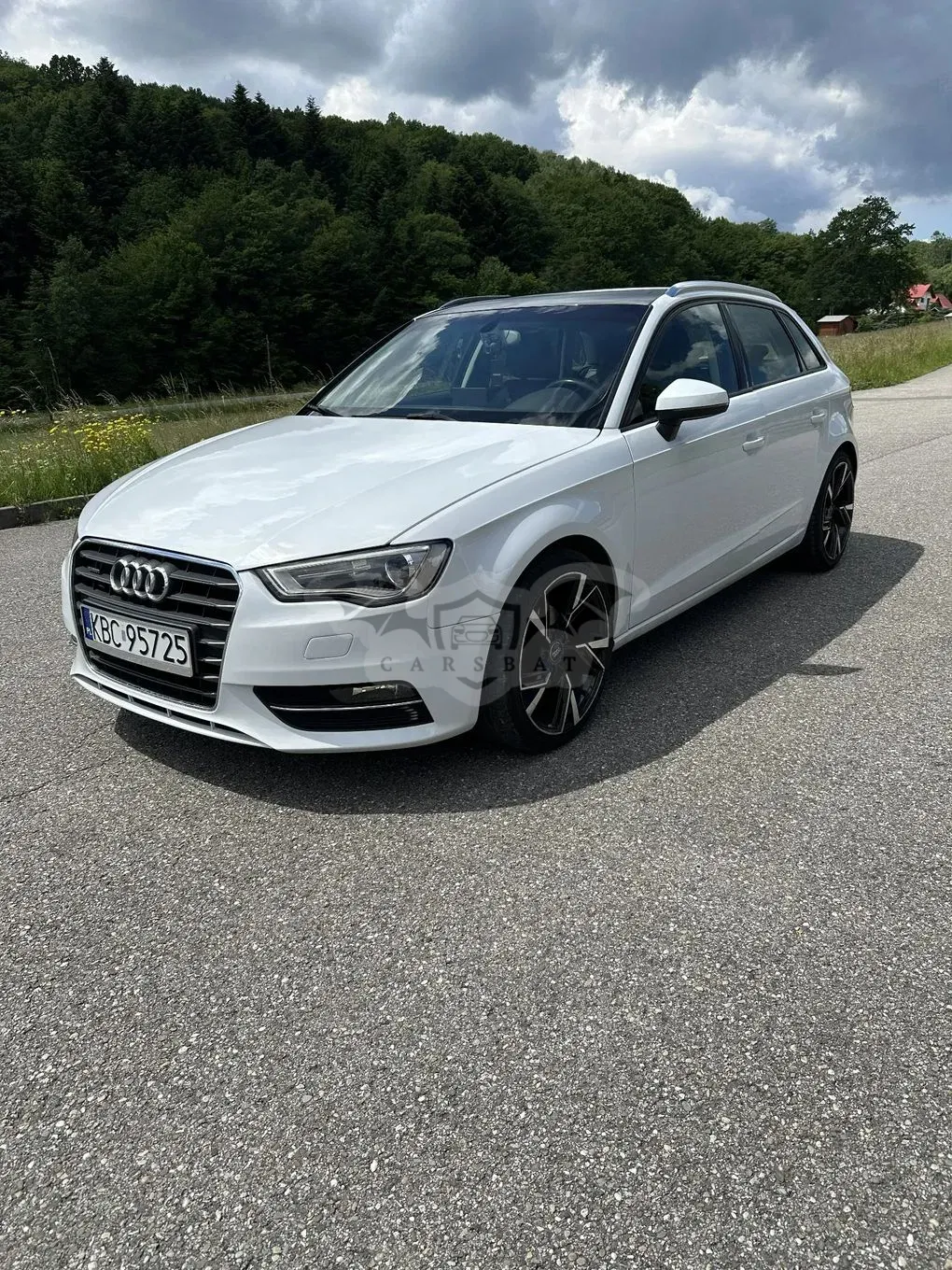 Audi A3 8V (2012-) 2.0 TDI quattro 2013