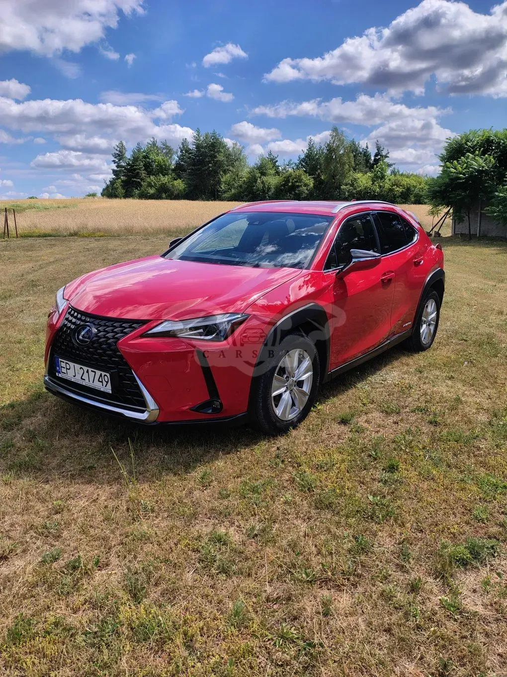 Lexus UX 250h Elegance AWD 2019
