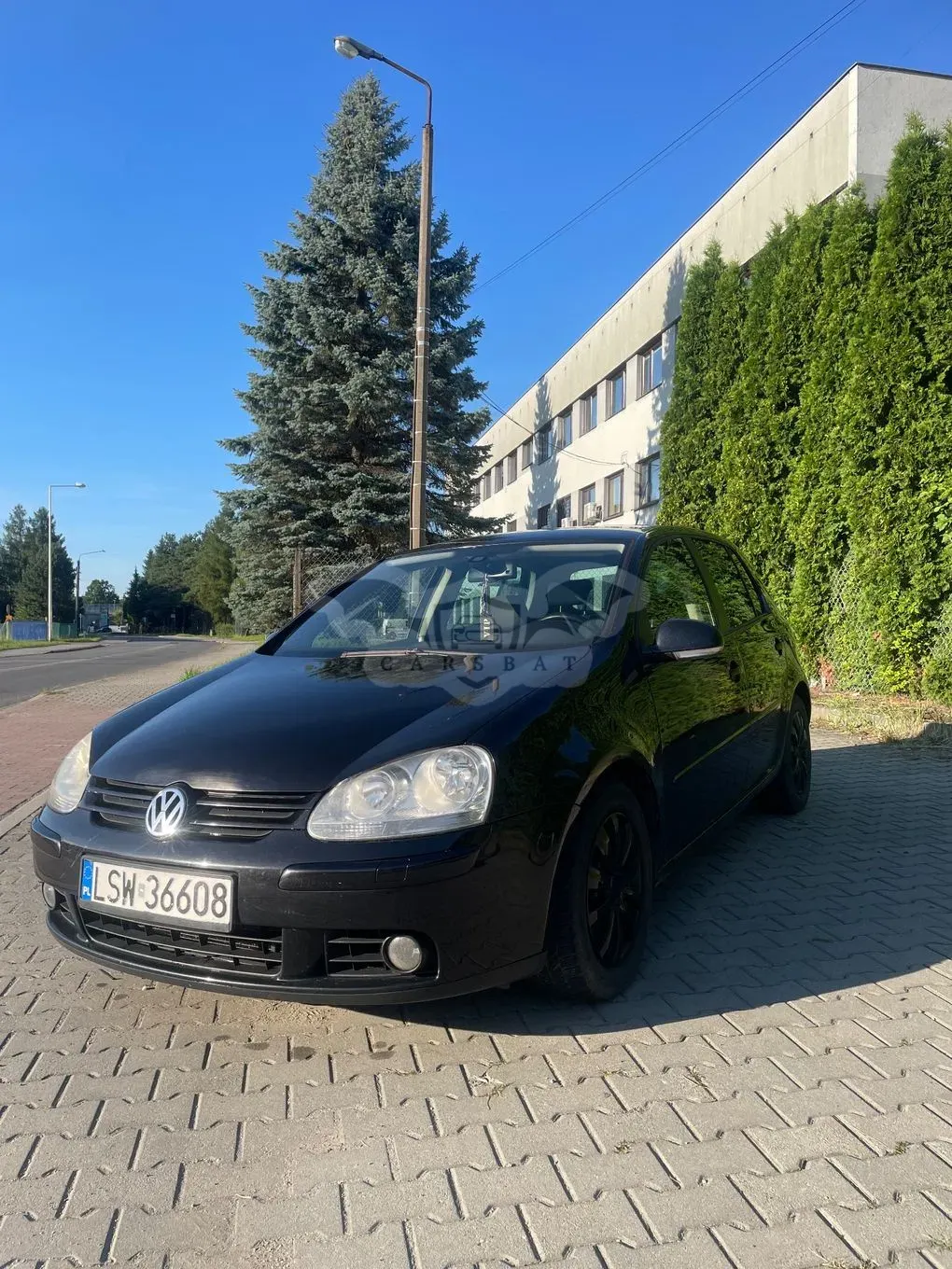 Volkswagen Golf V (2003-2009) 1.9 TDI Q-Line 2008