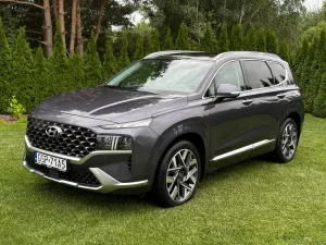 Hyundai Santa Fe IV (2018-2024) 2.2 CRDi Platinum 4WD DCT 2021