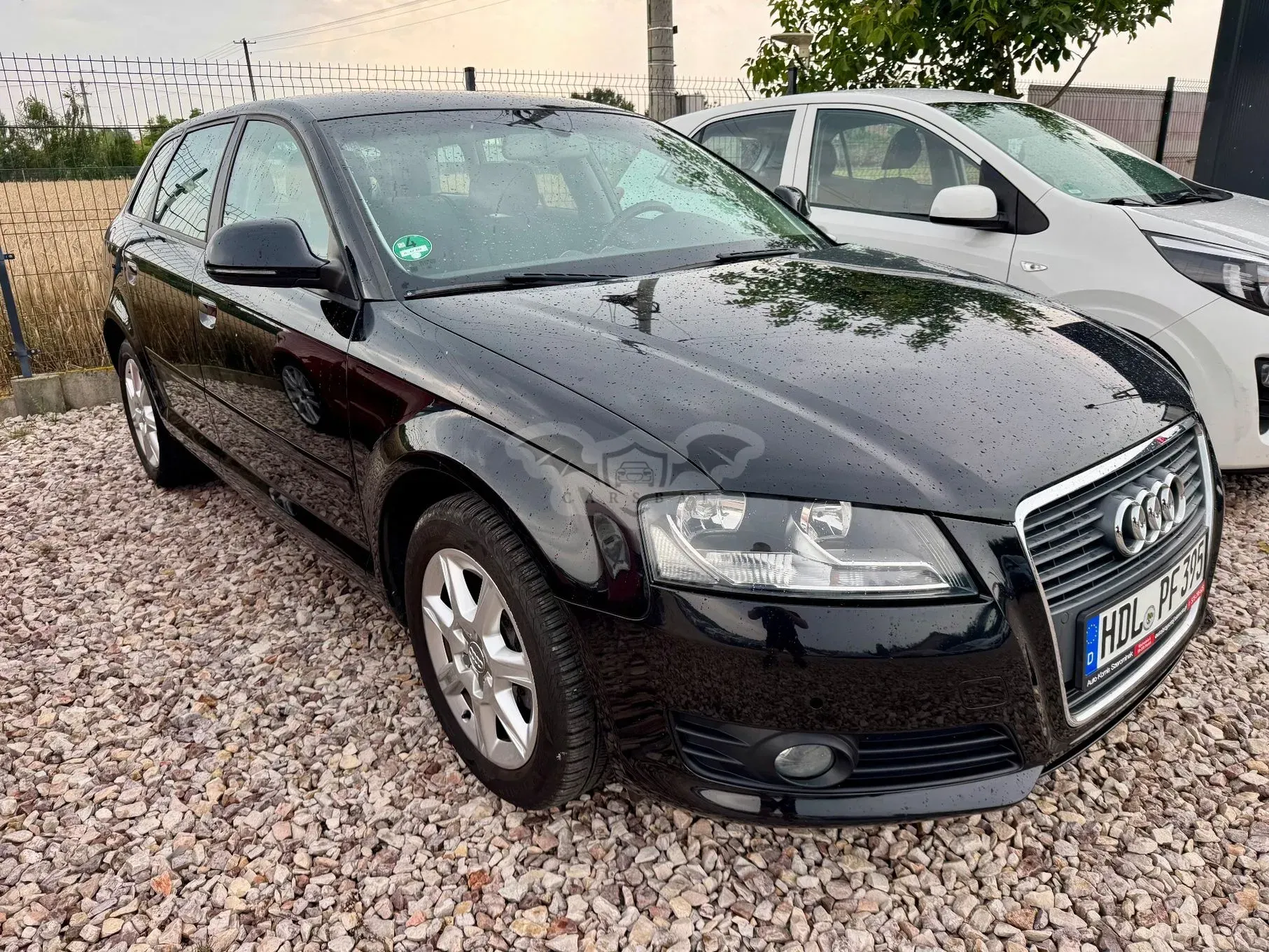 Audi A3 8P (2003-2012) 2009