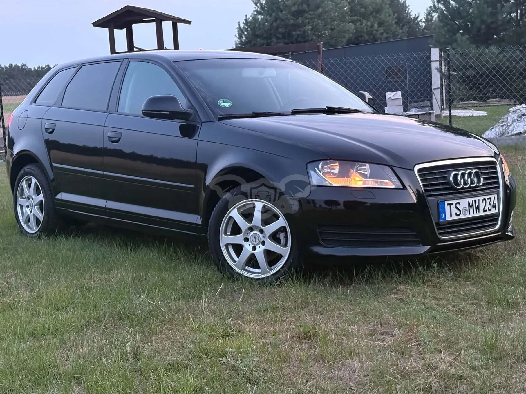 Audi A3 8P (2003-2012) 1.6 Ambition 2008